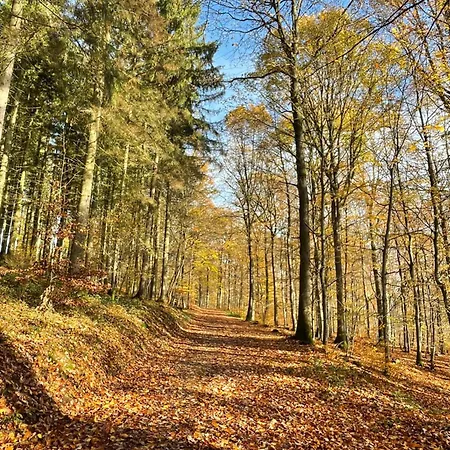 Apartamento Ute Müller