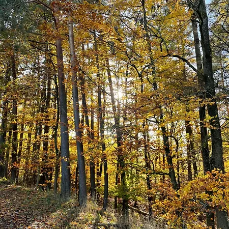 아파트 Gaestehaus Ute Mueller *