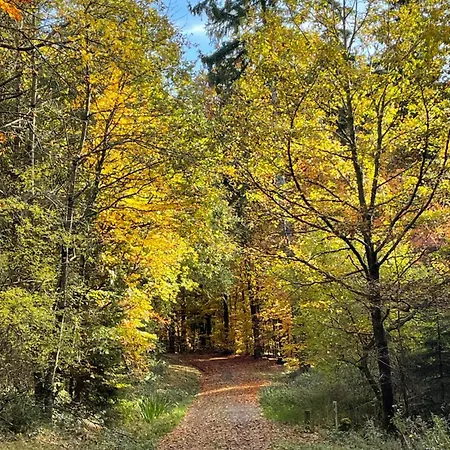 Appartement Gaestehaus Ute Mueller