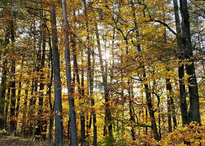 아파트 Gaestehaus Ute Mueller *