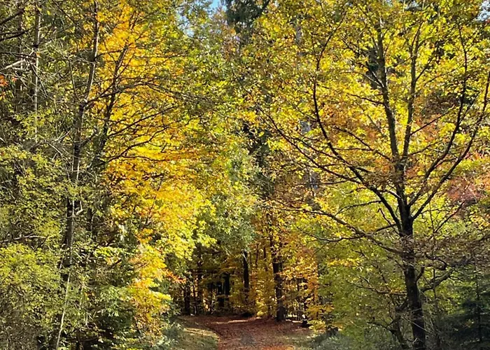 아파트 Gaestehaus Ute Mueller